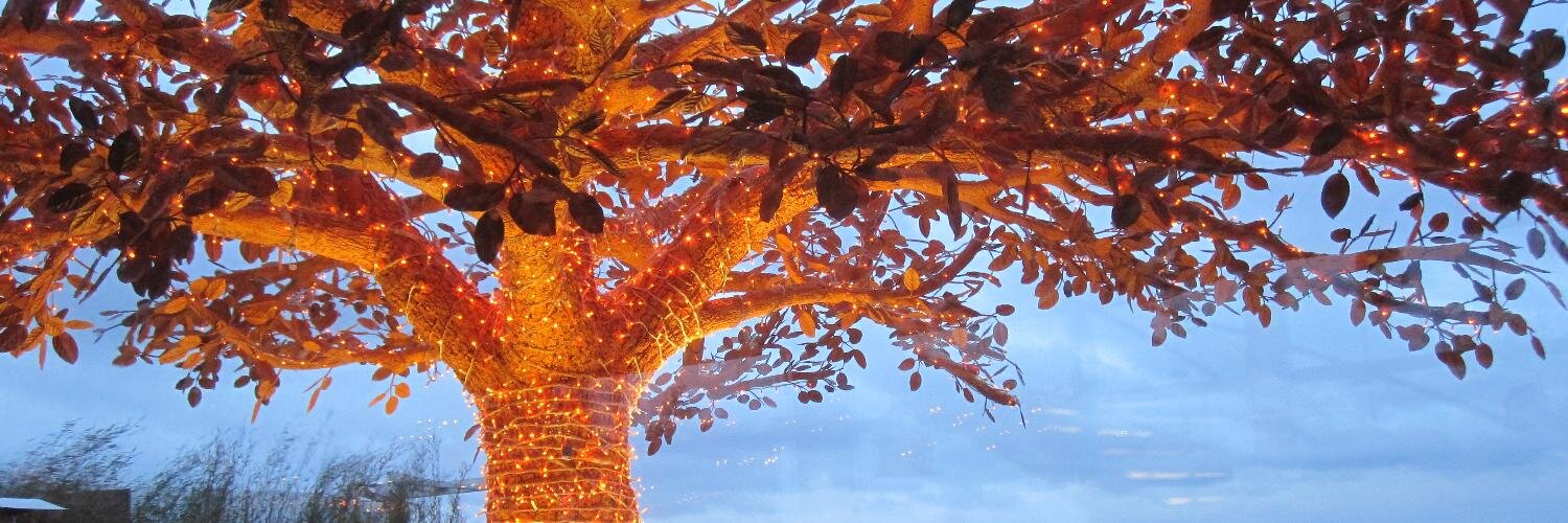 ameliefrench's profile banner image