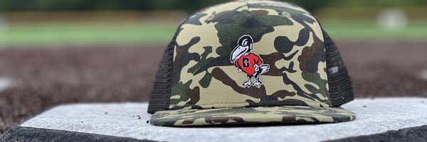 RavenBaseball Profile Banner