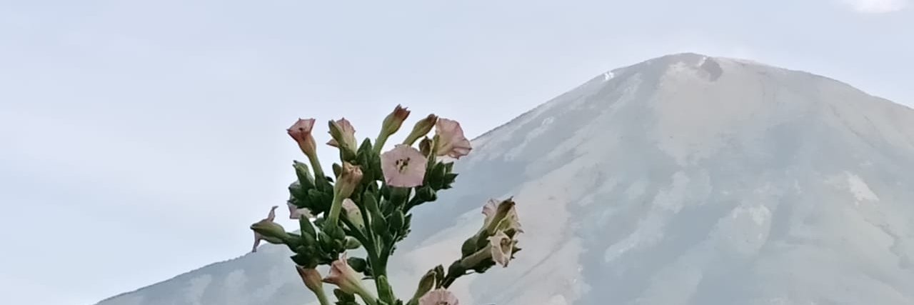 BMuthi's profile banner image