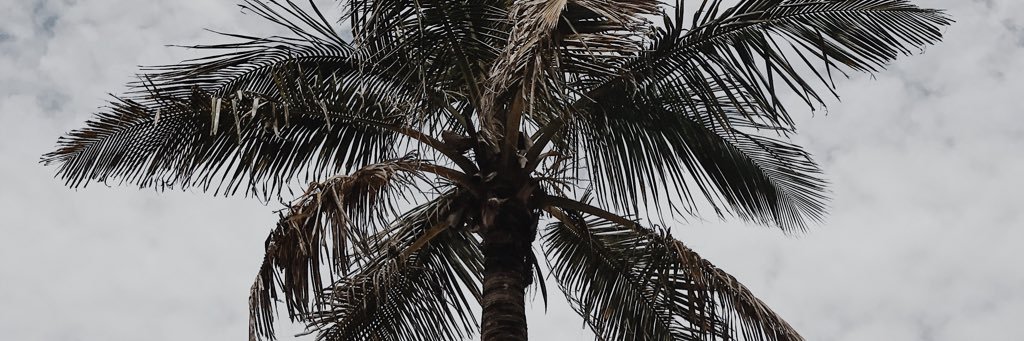 heychey__'s profile banner image