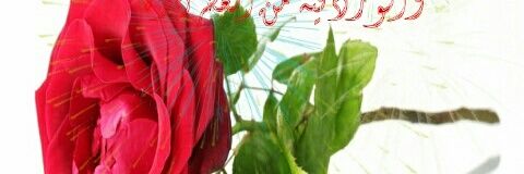 ja409tyf's profile banner image