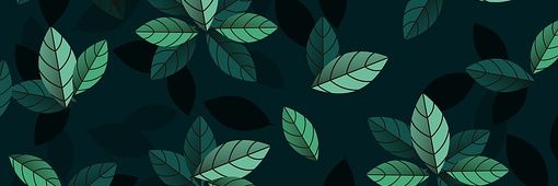 aed1i's profile banner image