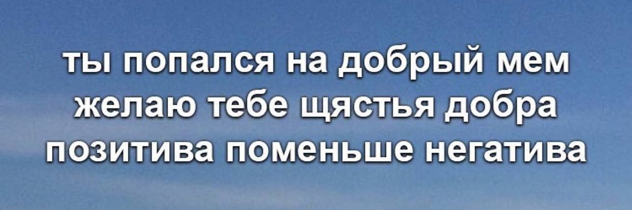 Selivestra's profile banner image