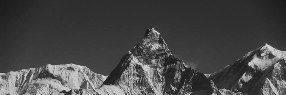 p_dev_b's profile banner image