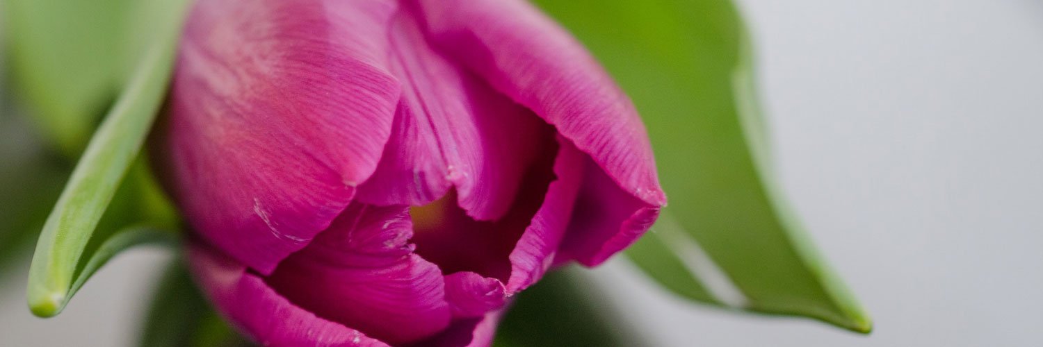 ABiemuller's profile banner image