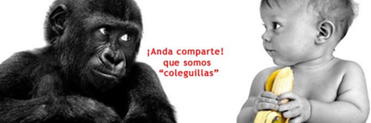 _FranciscoPonce's profile banner image