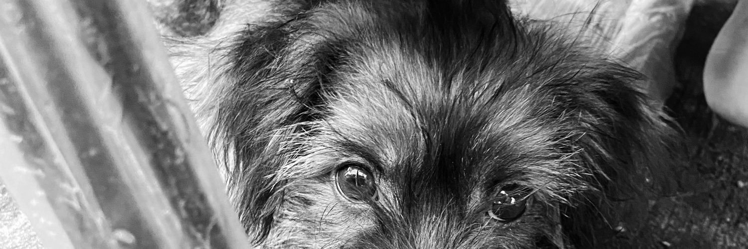 _TSPL's profile banner image