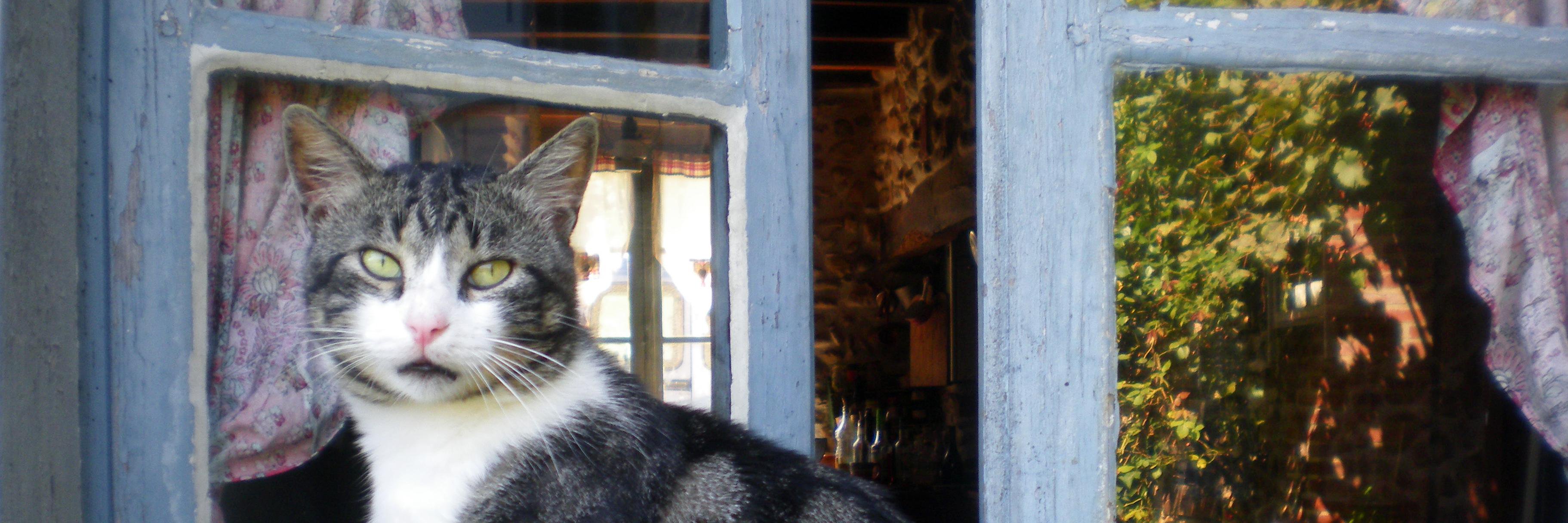 Fourcade Béatrice banner