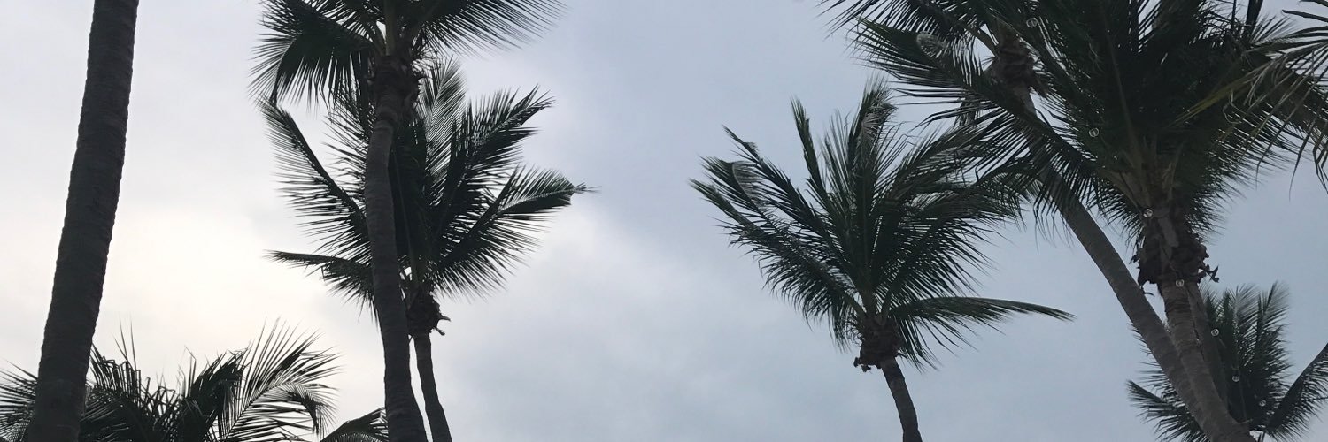 EasterDummy's profile banner image