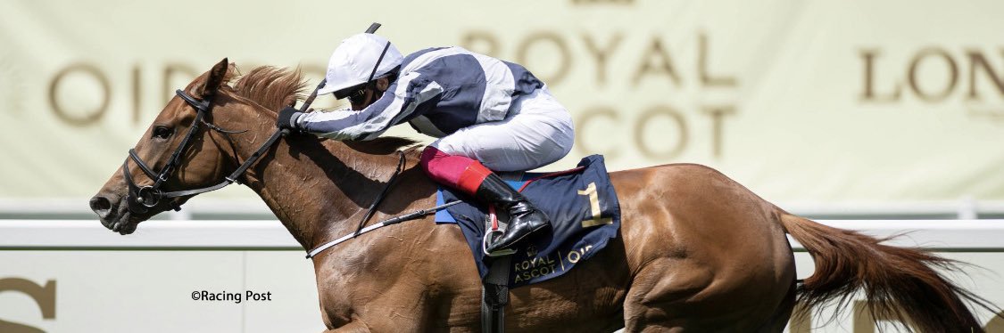 Jessica Harrington banner