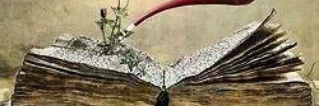 Advisor_2022's profile banner image