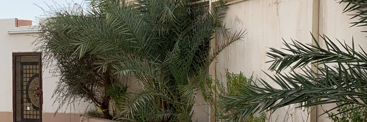 fdSA3051's profile banner image