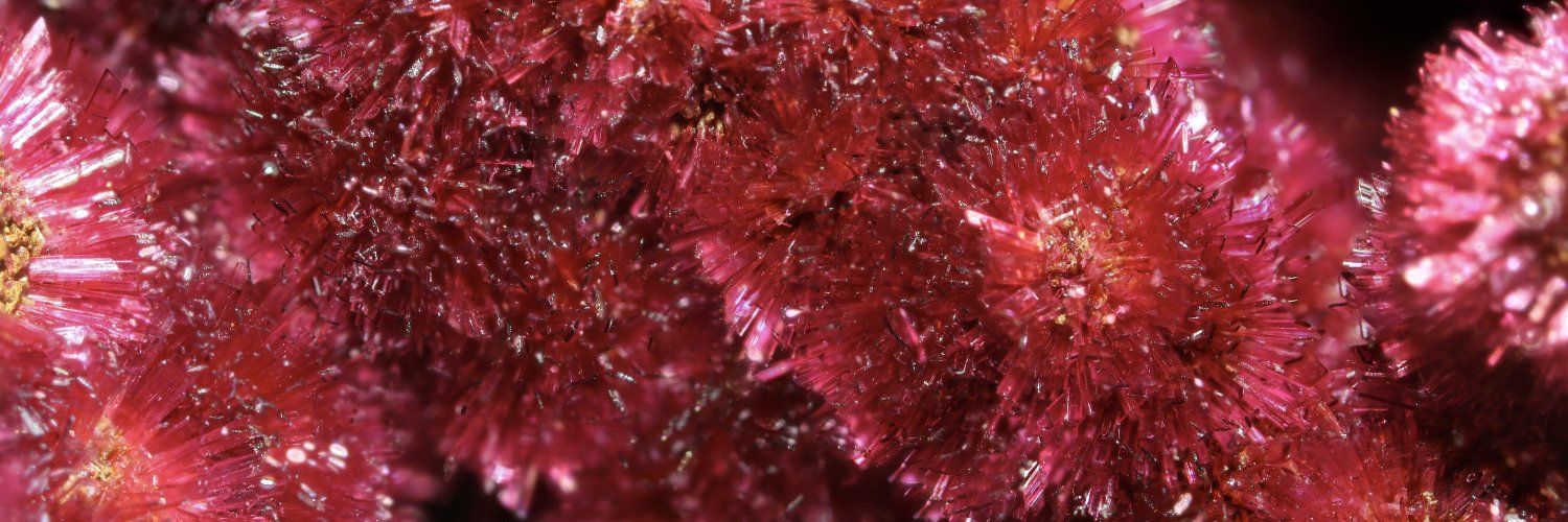 黒野(クロノ) banner