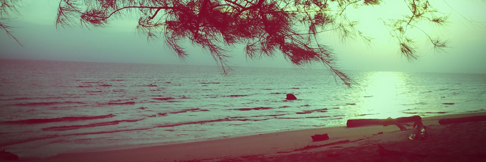 ucoqID's profile banner image