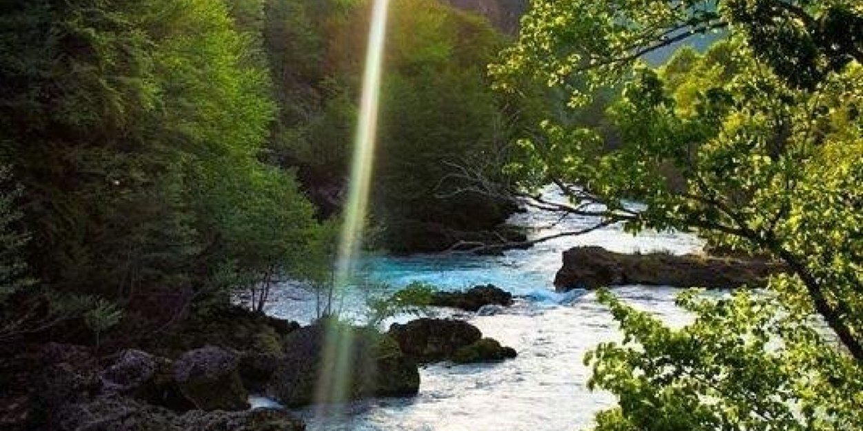 د. بندر المحمدي banner