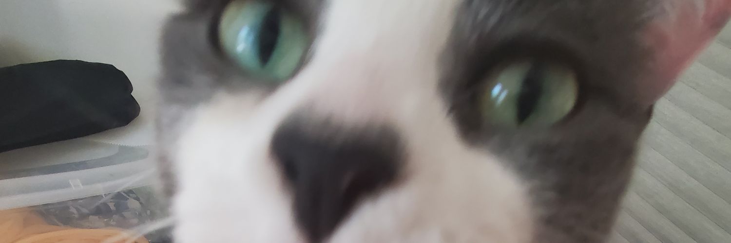 lowlytrashmouth's profile banner image
