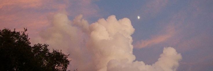 SedPolicarpio's profile banner image