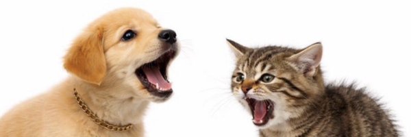 DarrenWS52 Profile Banner