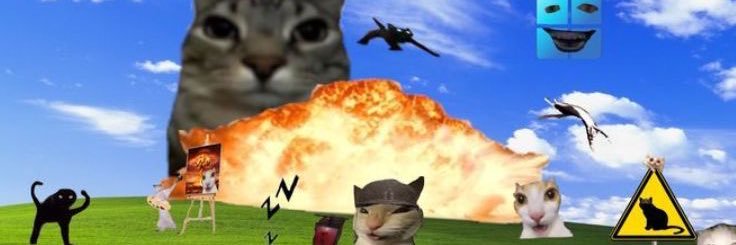 pnrm___'s profile banner image
