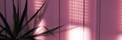 Lida_Libus's profile banner image