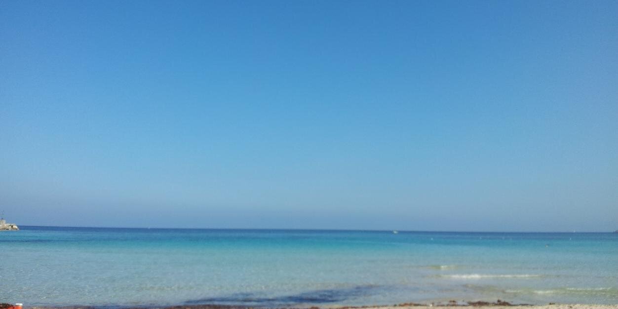 titti de simone banner