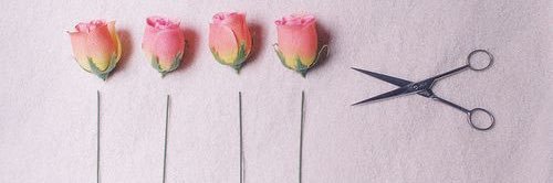 anem0ne89's profile banner image