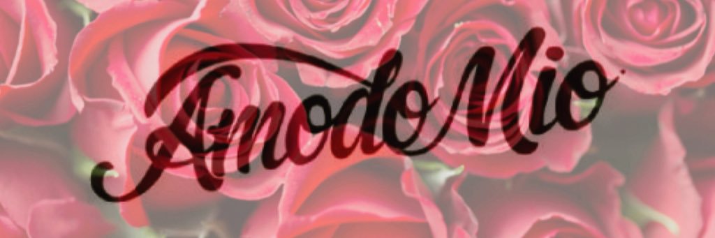 amodo_mio's profile banner image
