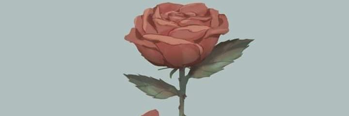 kuristenn's profile banner image