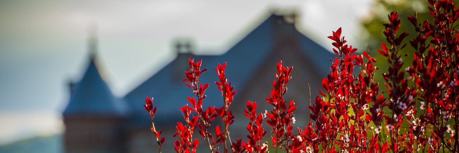 desber13's profile banner image