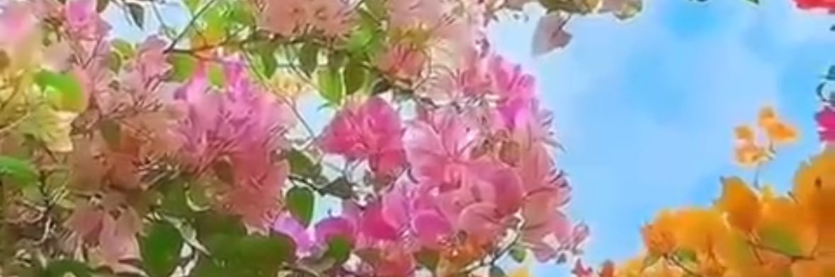 Ksa_141_'s profile banner image