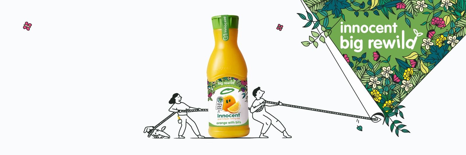 innocentIreland banner