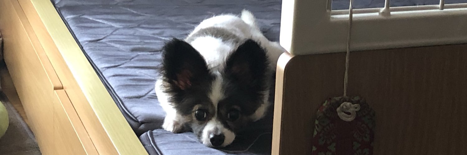 TJ_03c's profile banner image