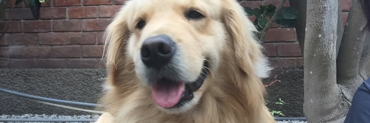 afajardov's profile banner image