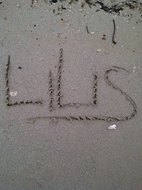 lilis_43's profile banner image
