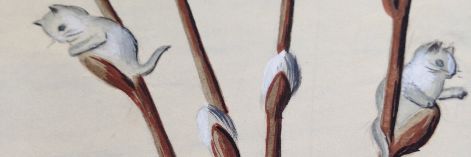 jess_koehler's profile banner image