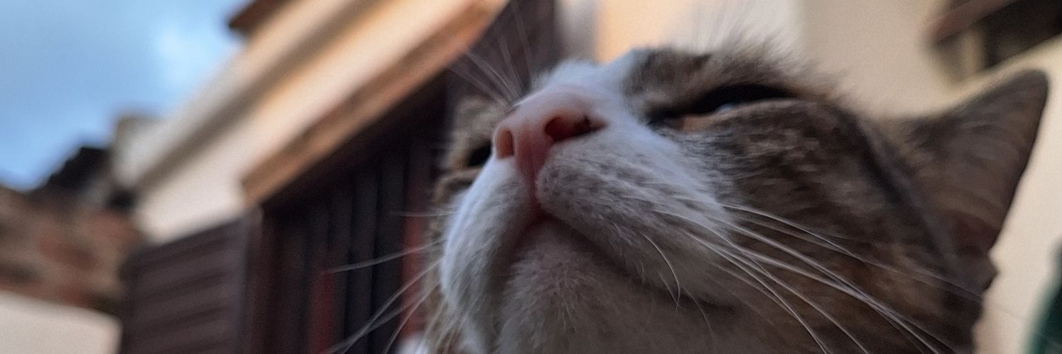 Tommers0's profile banner image