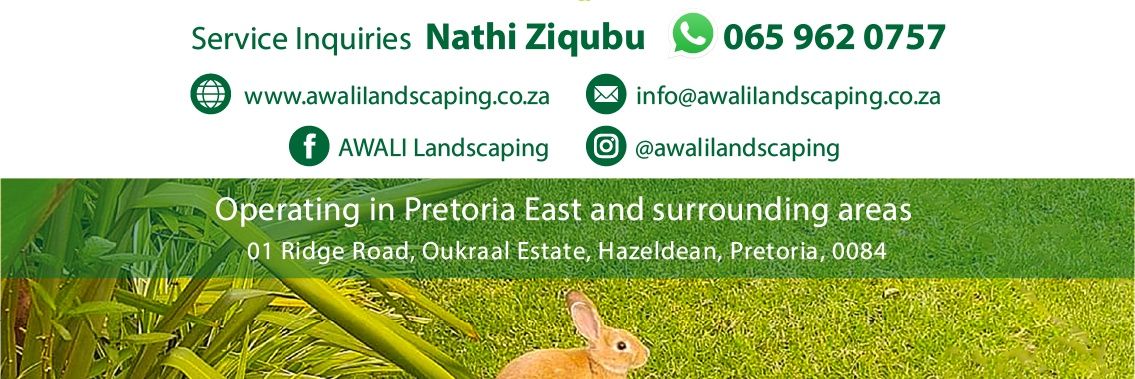 Nathi_byNature's profile banner image