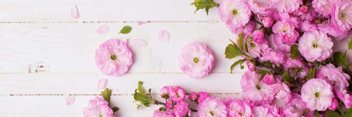 P49969197's profile banner image