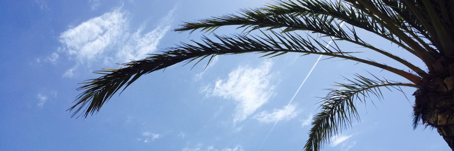 PoppyDoble's profile banner image