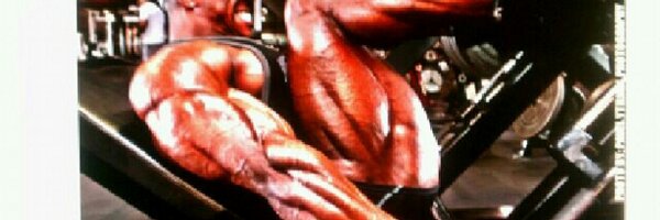 FlexatronRhoden Profile Banner