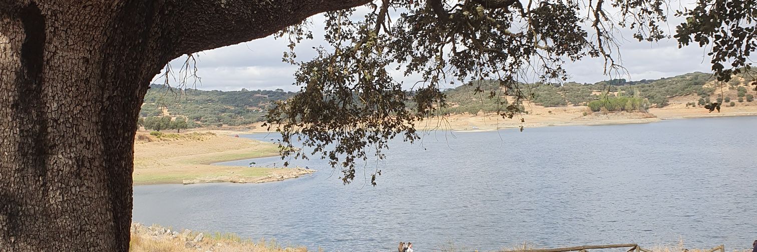 MartaMC3's profile banner image