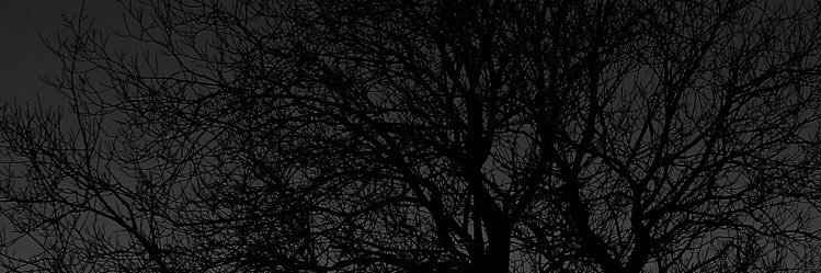 yamuah's profile banner image