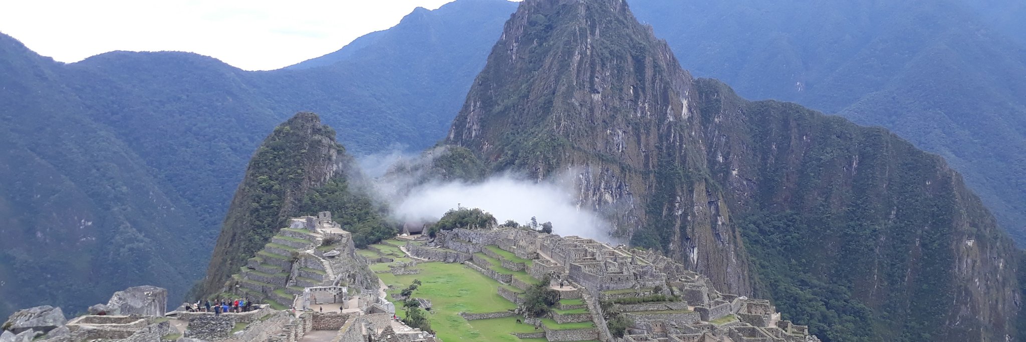 Wander With Crumps banner