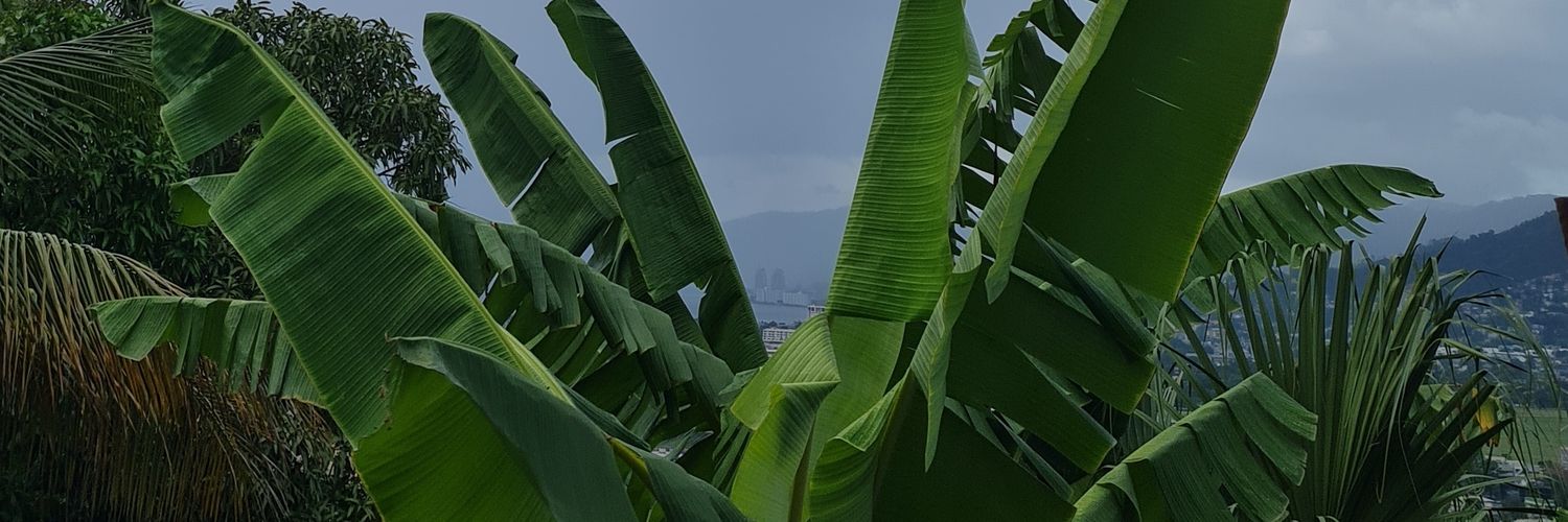 kami_bobby's profile banner image