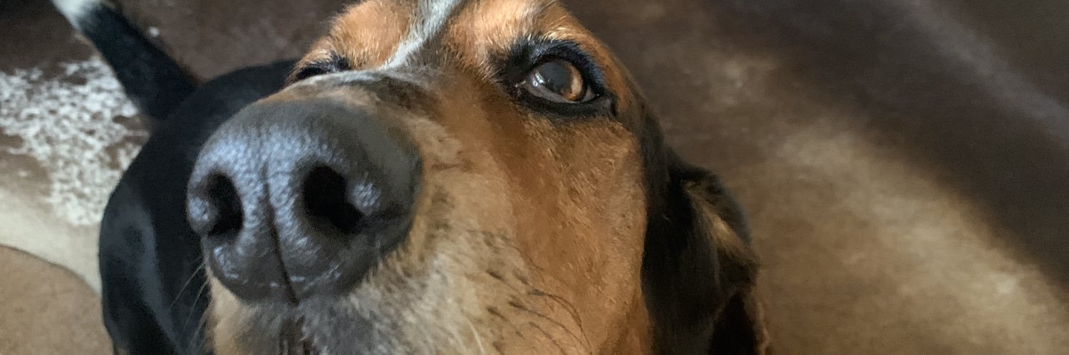 kellymurray1234's profile banner image