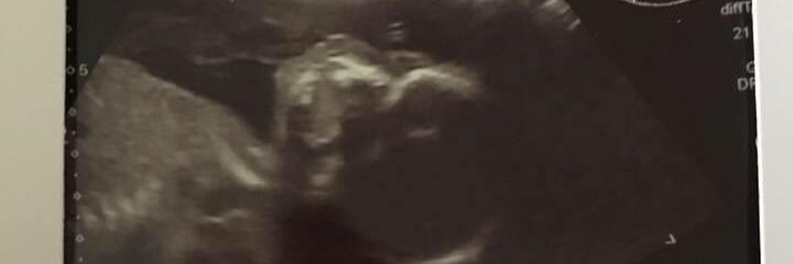 Daynahcampbell's profile banner image