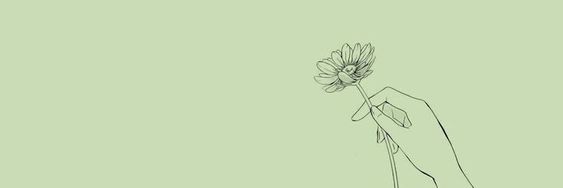 peppermint.lens banner