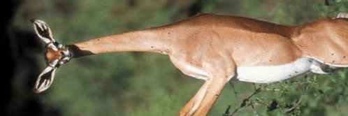 Kevsterking's profile banner image