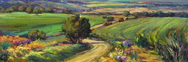 _carloscam_ Profile Banner