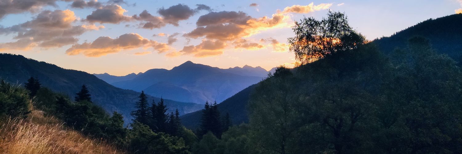 Francesc Balcells i Teixidó banner